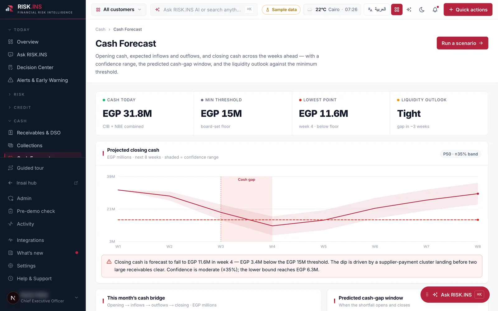 RiskINS cash-flow & liquidity &mdash; sample data.