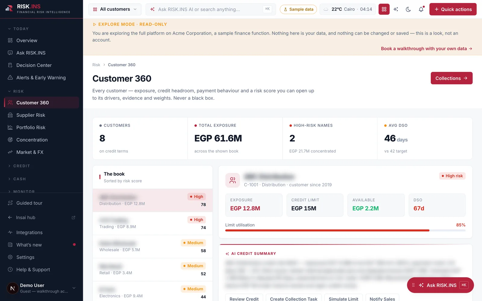 RiskINS customer risk 360 &mdash; sample data.
